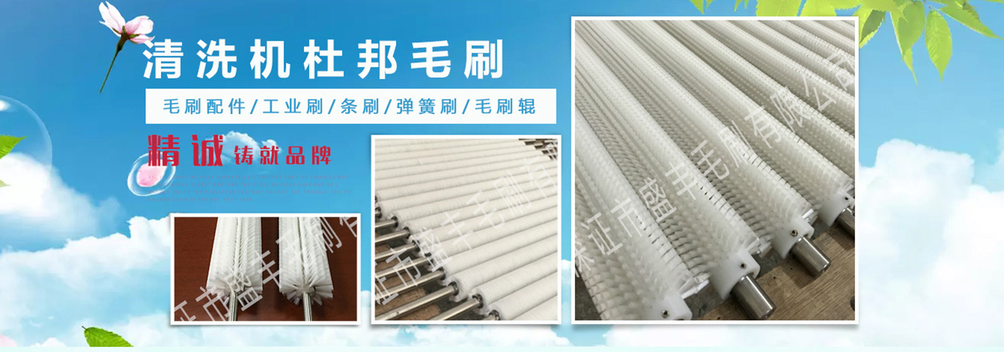 盛豐清洗機杜邦毛刷